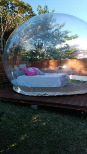 La BBO La Bulle by Baril O'thentik